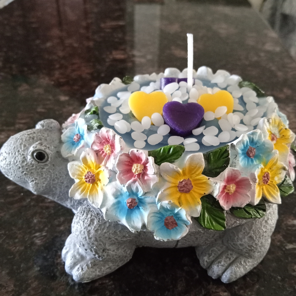 Turtle Soy Wax Vanilla Candle